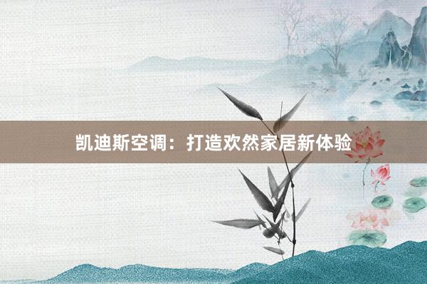 凯迪斯空调：打造欢然家居新体验